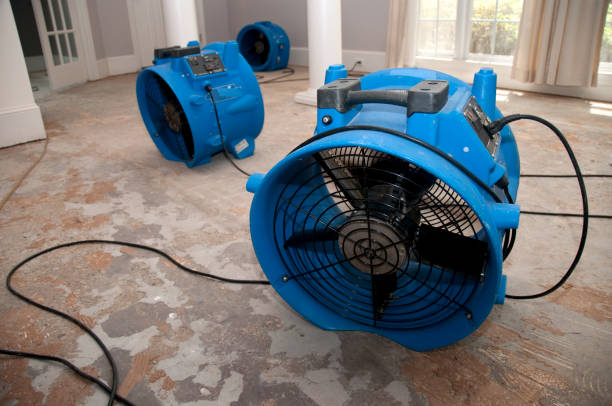 Best Ceiling water damage repair  in Oliver, PA