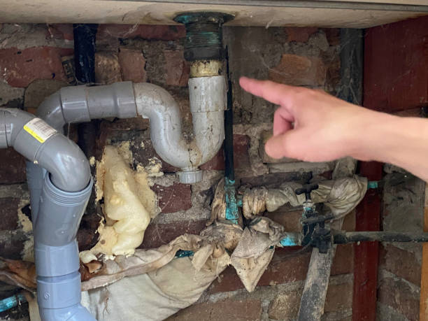 Best Water damage cleanup near me  in Oliver, PA
