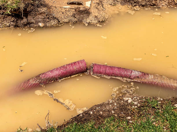 Best Local water damage restoration  in Oliver, PA